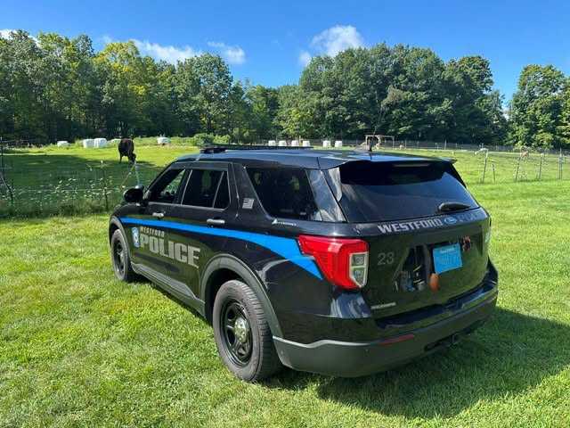 Man, 21, dies after falling into Mass. quarry