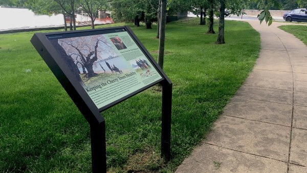 National park signs on women and LGBTQ+ history are disappearing. Librarians are preserving the record