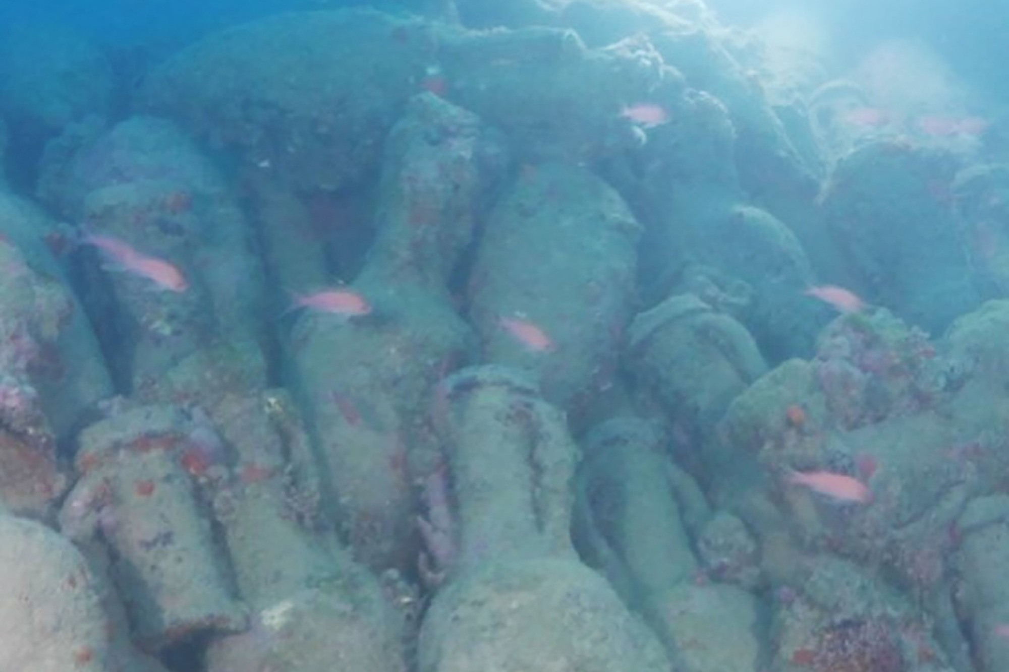 Roman shipwreck believed to be over 2,000 years old discovered in Sicily