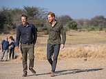 Prince Harry stops giving money from Diana's memorial fund to Sentebale as he diverts cash to elephant charity