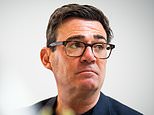 Just 15% want boat migrants near them: Lefties back Burnham's plan for asylum seekers in affluent areas... but not theirs, Mail poll reveals