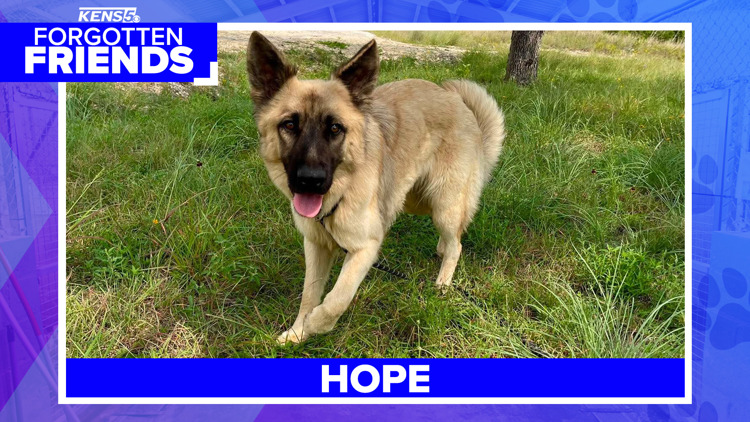 Hope has spent 84 days waiting for someone to choose her | Forgotten Friends