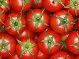Tomato a day can cut risk of fatty liver disease, study reveals