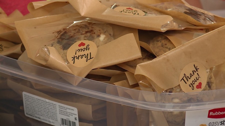 Webster Groves kids bake nearly 600 cookies to raise money for animals in need