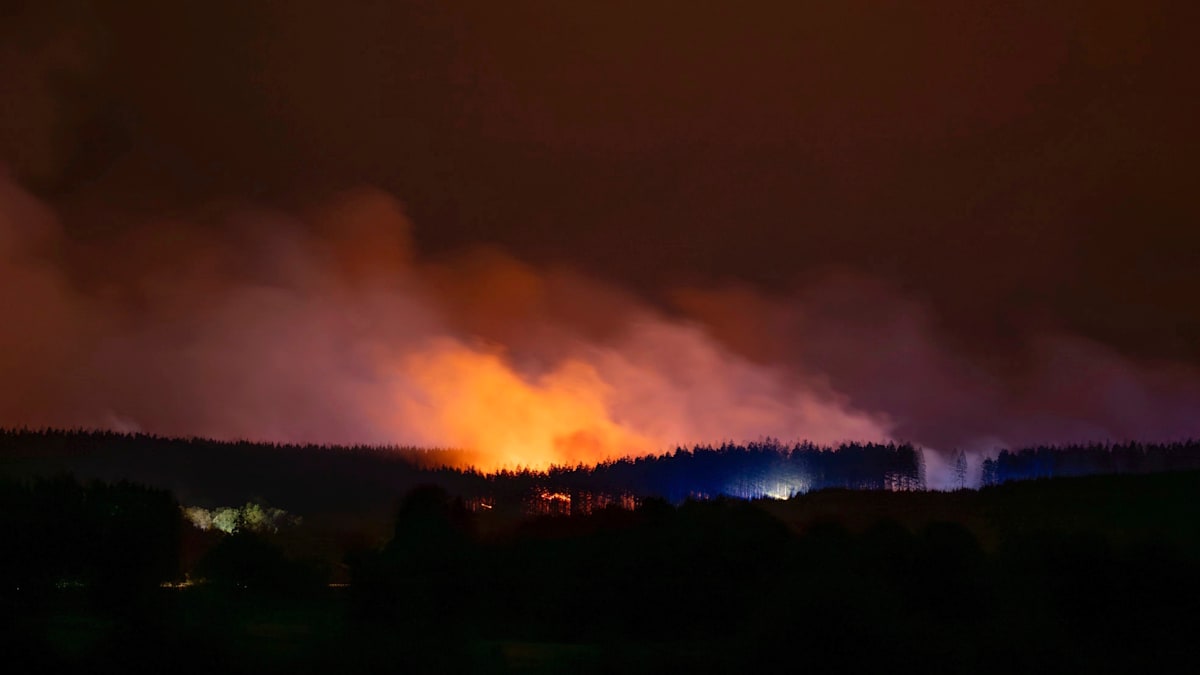 Kilometerlange Feuerfront – Lage bei Monschau spitzt sich zu, Bewohner sollen Häuser verlassen