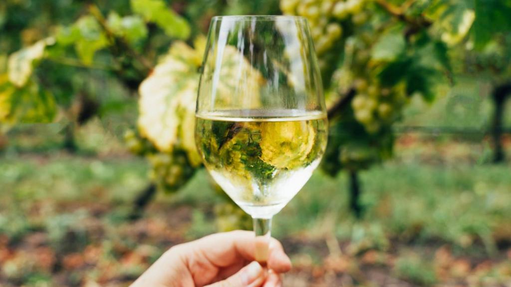Ireland's small but determined wine industry warming up