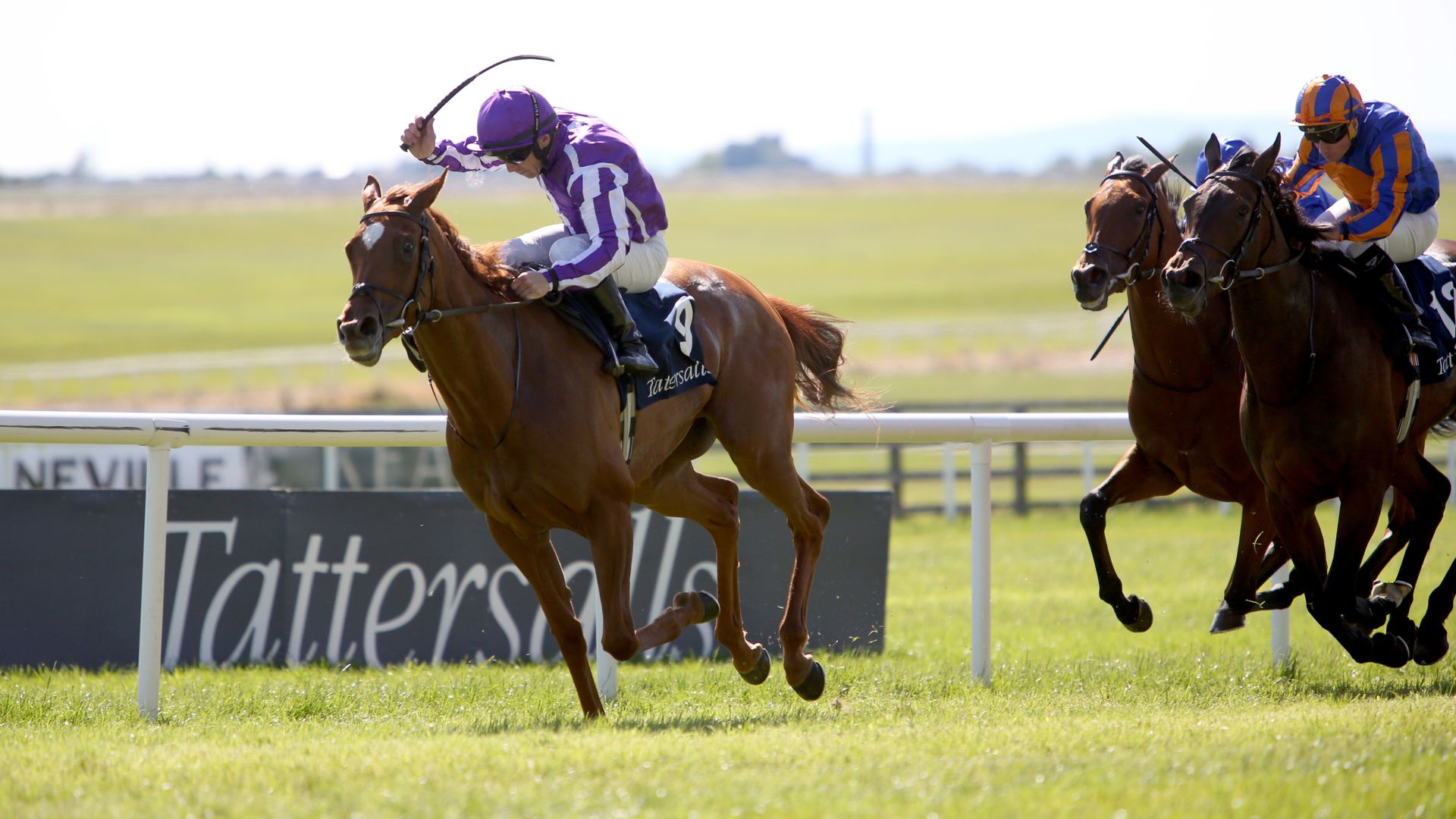 Precise faces More Thunder in Prix Jacques le Marois