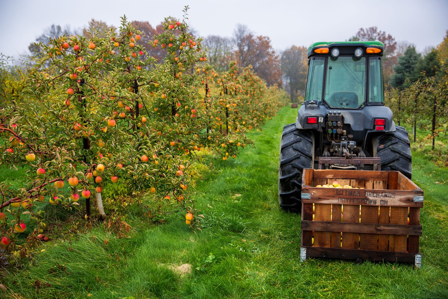 Northeast Ohio agriculture adapts to extreme weather patterns