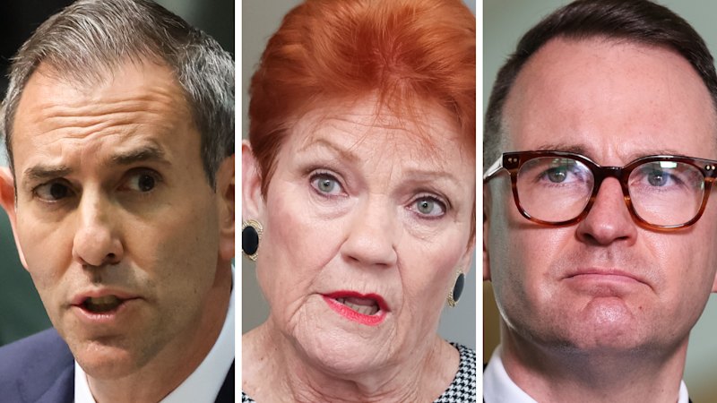 Election will be ‘referendum’ on super, Chalmers says in Hanson stoush