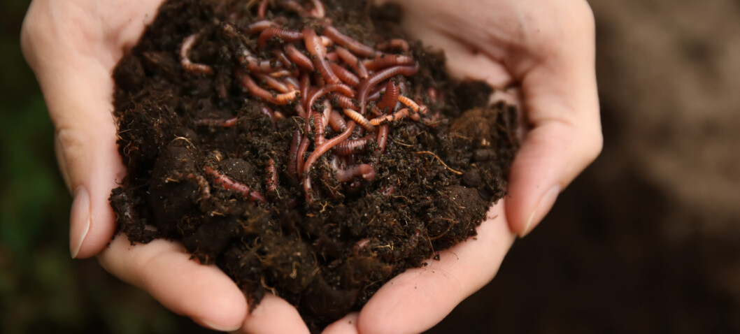 ChainDrop worm crawls into npm supply chain, evades standard defenses