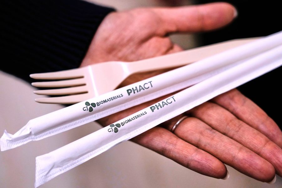 Plastic fork made of sugar? It could help minimize harmful microplastics
