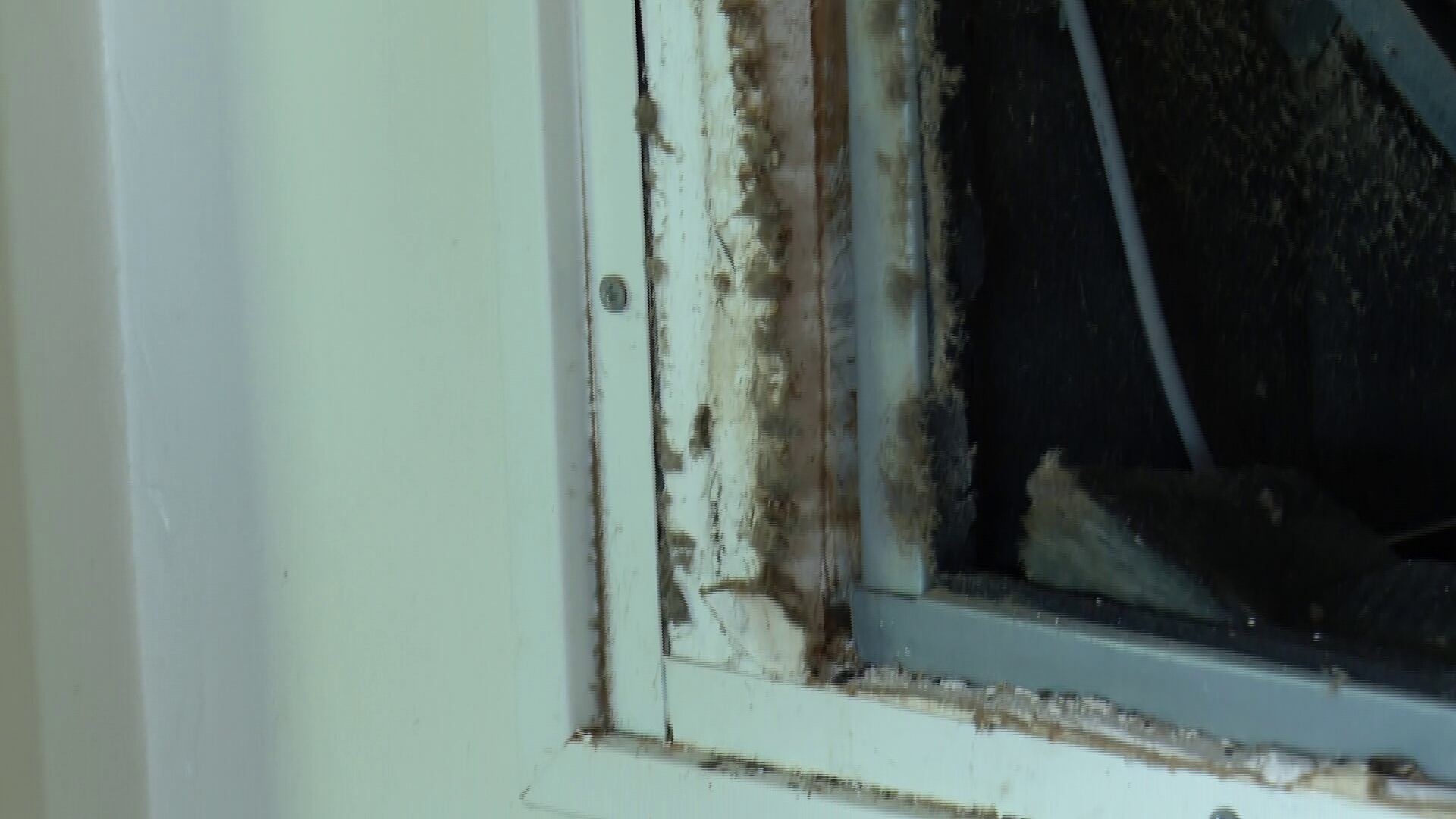 Students reporting ‘unlivable’ conditions at off-campus apartment near major university