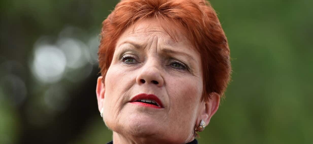 Pauline Hanson still doesn't like Mardi Gras, says sexuality should be 'behind closed doors'