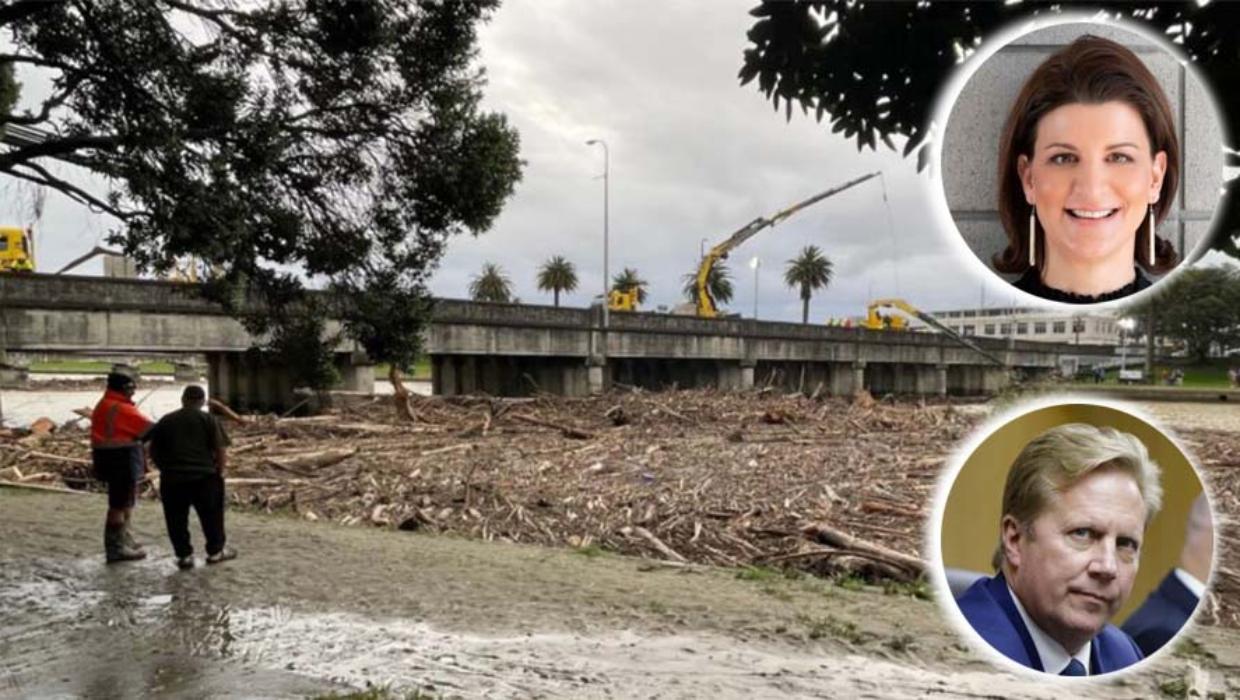 You’re scaring off forestry investors, Minister tells Gisborne council