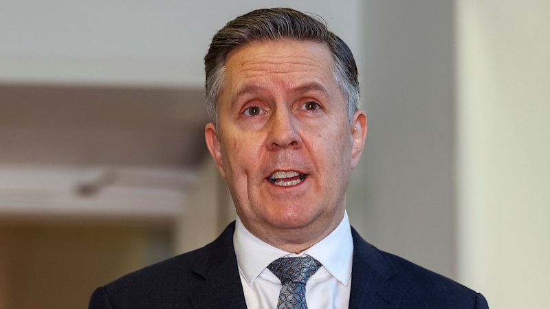 ‘It didn’t come out of the blue’: Butler prods states on NDIS reform