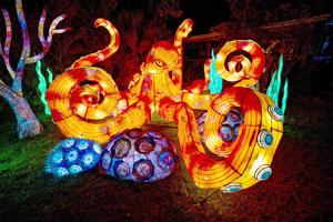 Asian Lantern Festival returns to Central Florida Zoo this fall