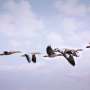 Is bird flu infecting humans? How would we know?