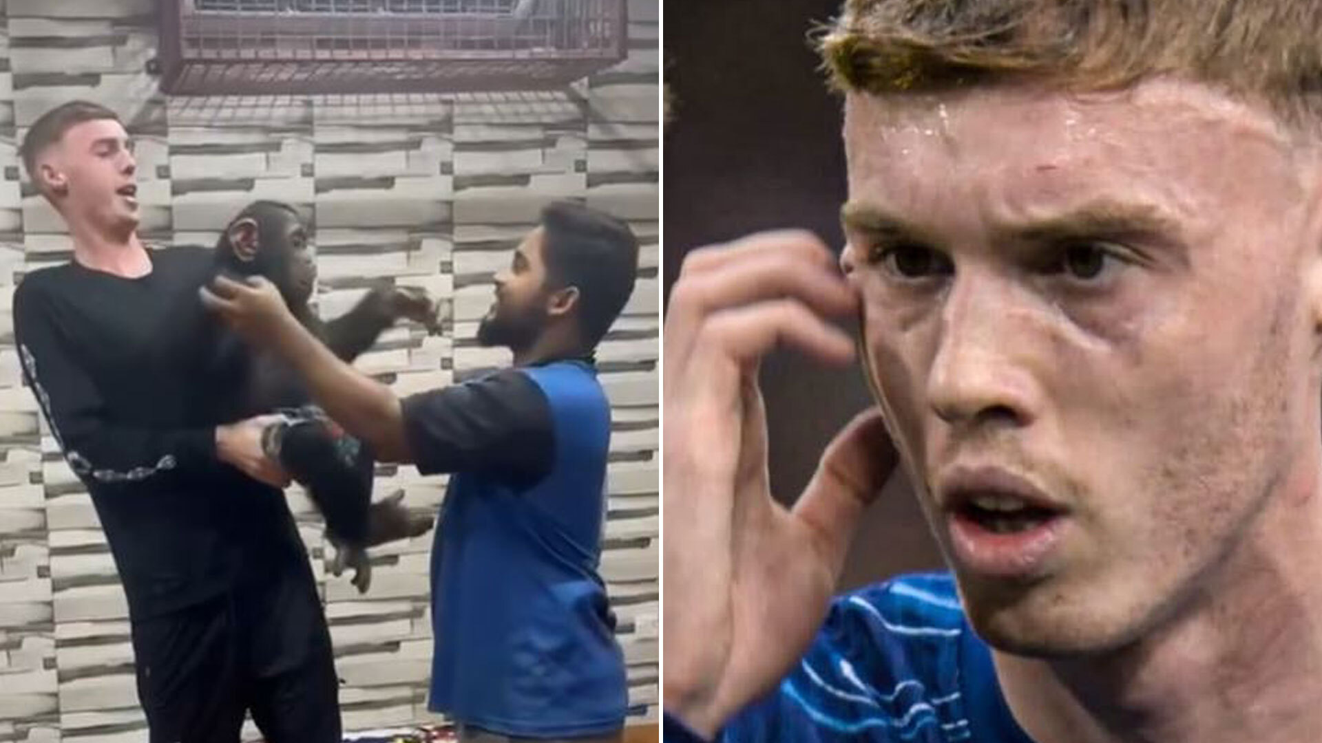 Chelsea star Cole Palmer chooses favourite meme of HIMSELF and reveals hilarious advice he gave to fan before proposing