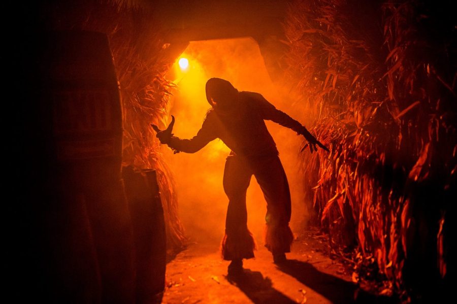 HalloWeekends returning to Cedar Point in September: What's new this year?