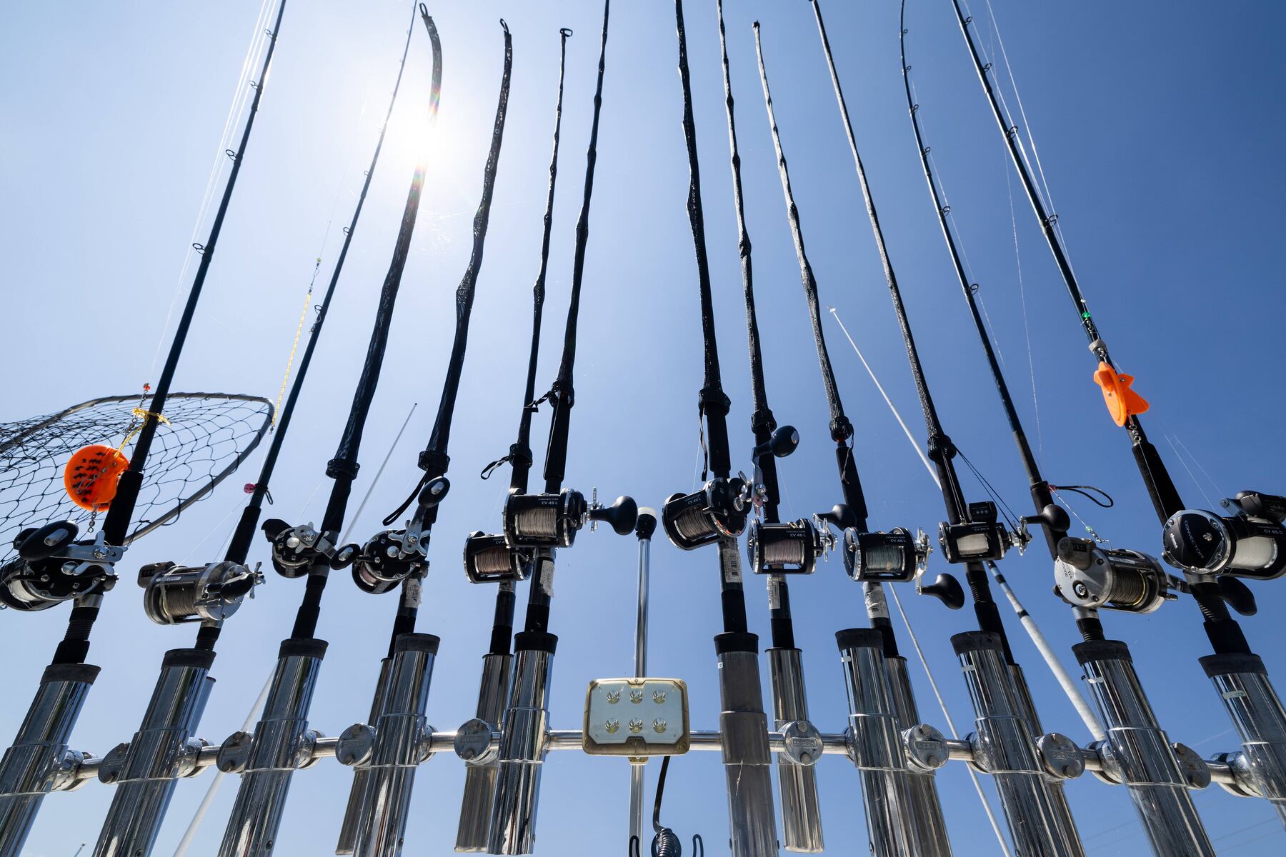 Fisherman makes rare catch of 151-pound fish, breaks record set in 2005
