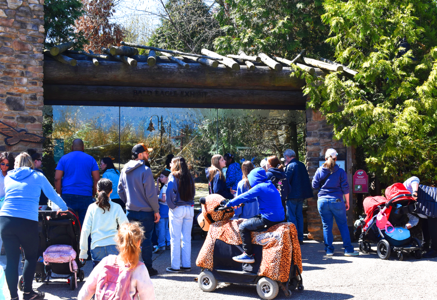 Free admission to Akron Zoo throughout September: Details