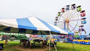 Fun for the Whole Herd at the Kenosha County Fair starting Aug. 19