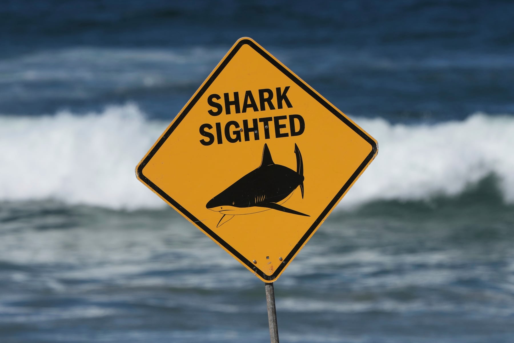 The perfect shark shot is drawing millions of views. Experts see a growing problem.