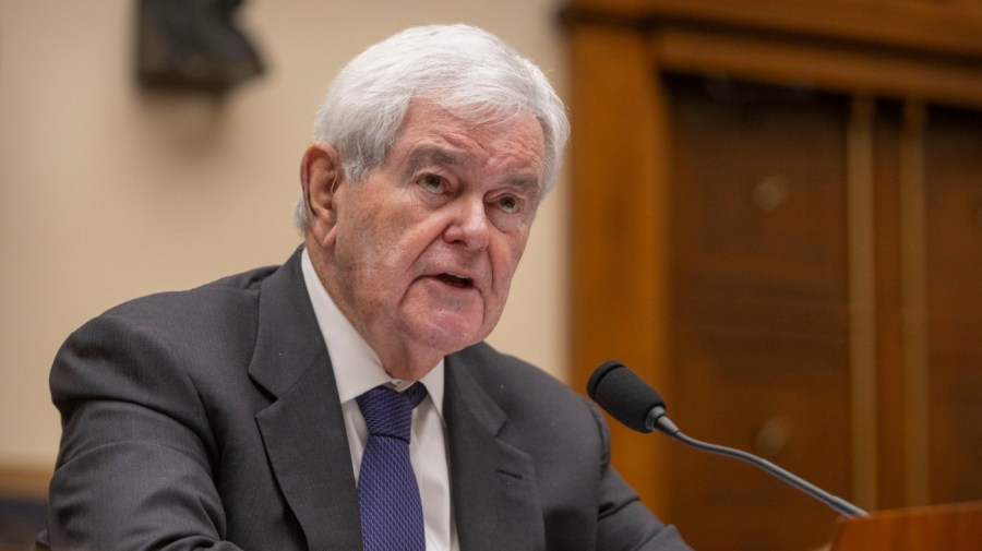Gingrich: Midterms offer choice between ‘big government socialism and weird values’ or Republicans