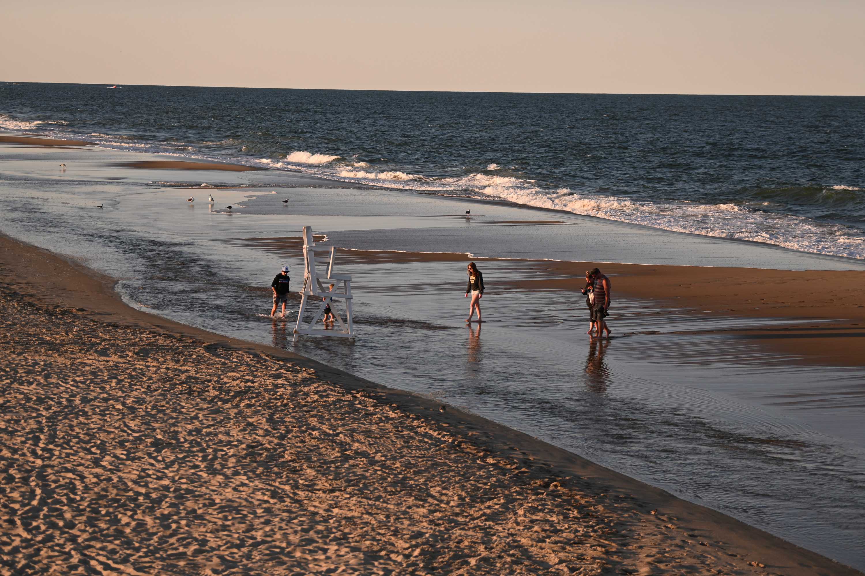 Maryland beach rush hit by Ocean City jellyfish