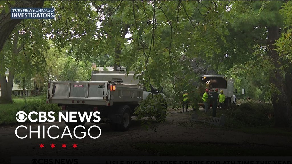 Lisle turns storm debris into mulch, saving village thousands annually