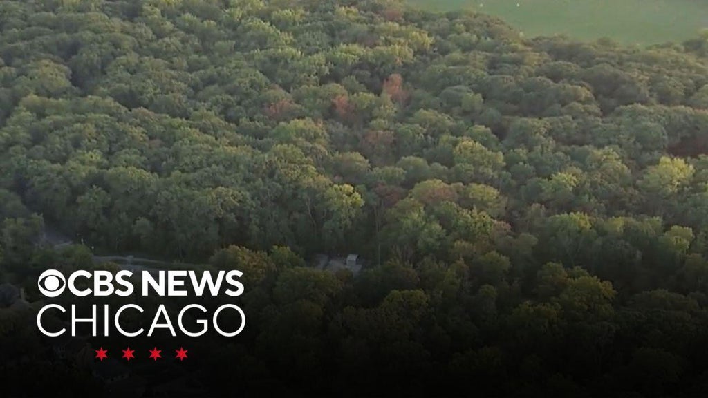 200 workers at Forest Preserve District of Cook County go on strike
