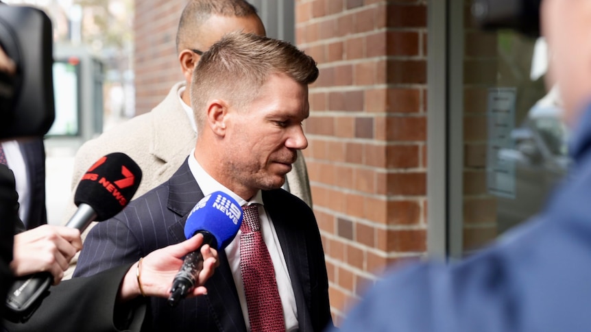 David Warner leaves court with drink driving conviction and $1.5k fine