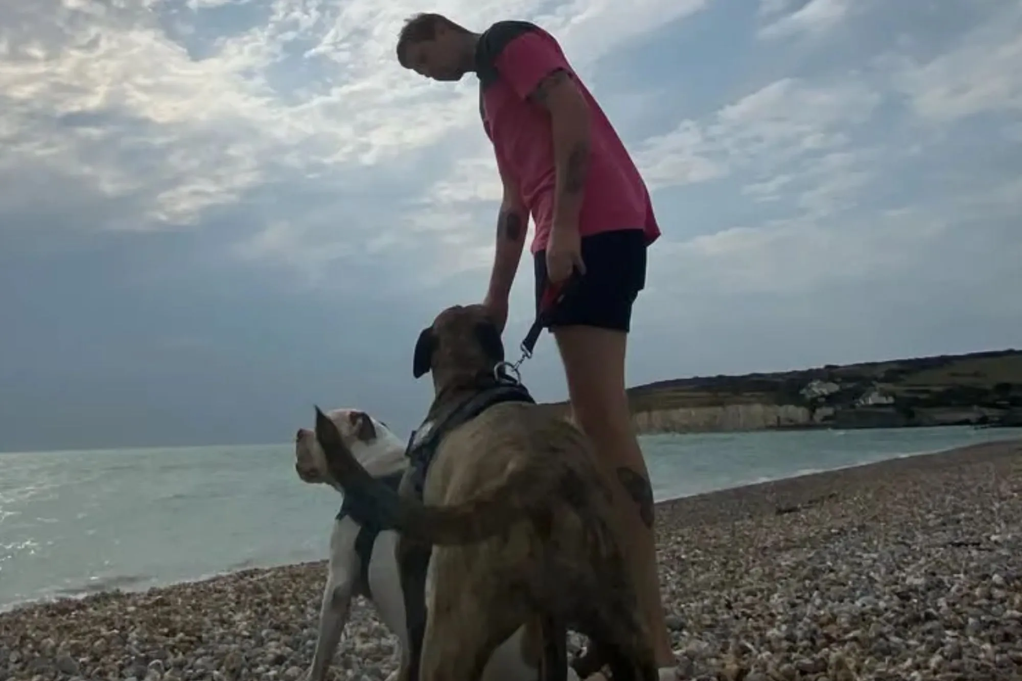 Devastated Professor Green reveals his dog Ethel has died saying ‘my heart is sore’