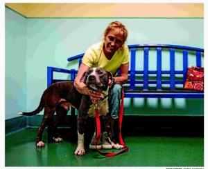 FEE-FREE FURRY FRIENDS