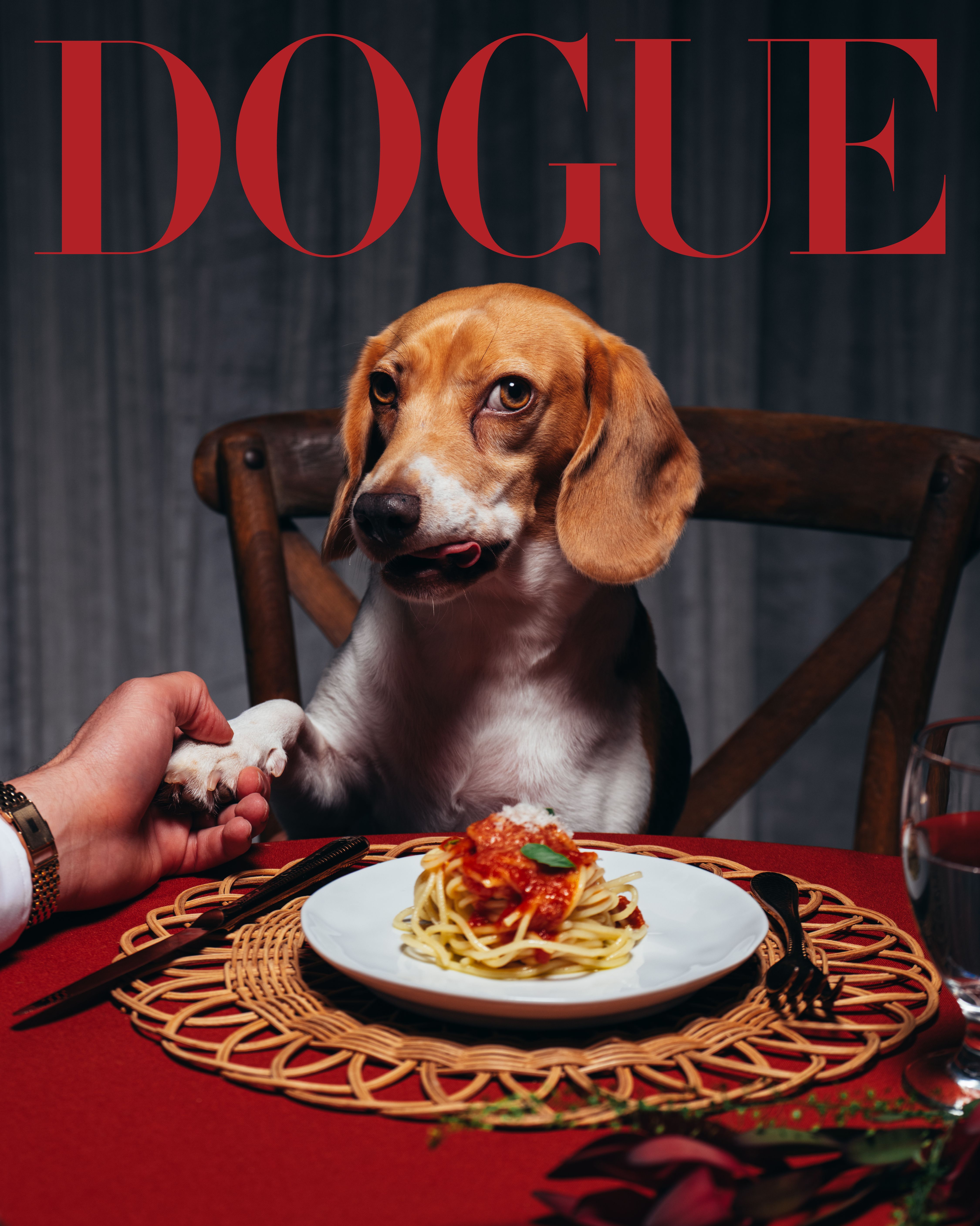 A Bad Bunny and a Beagle Walk Into a Restaurant…
