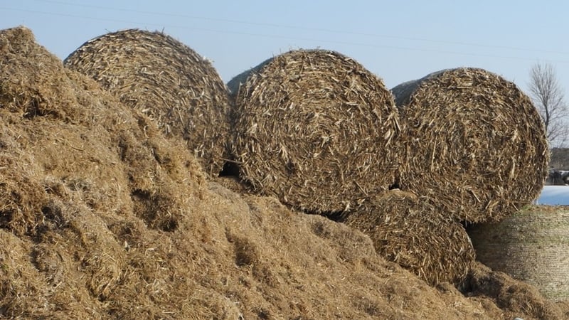 Government to consider fodder crisis supports for farms