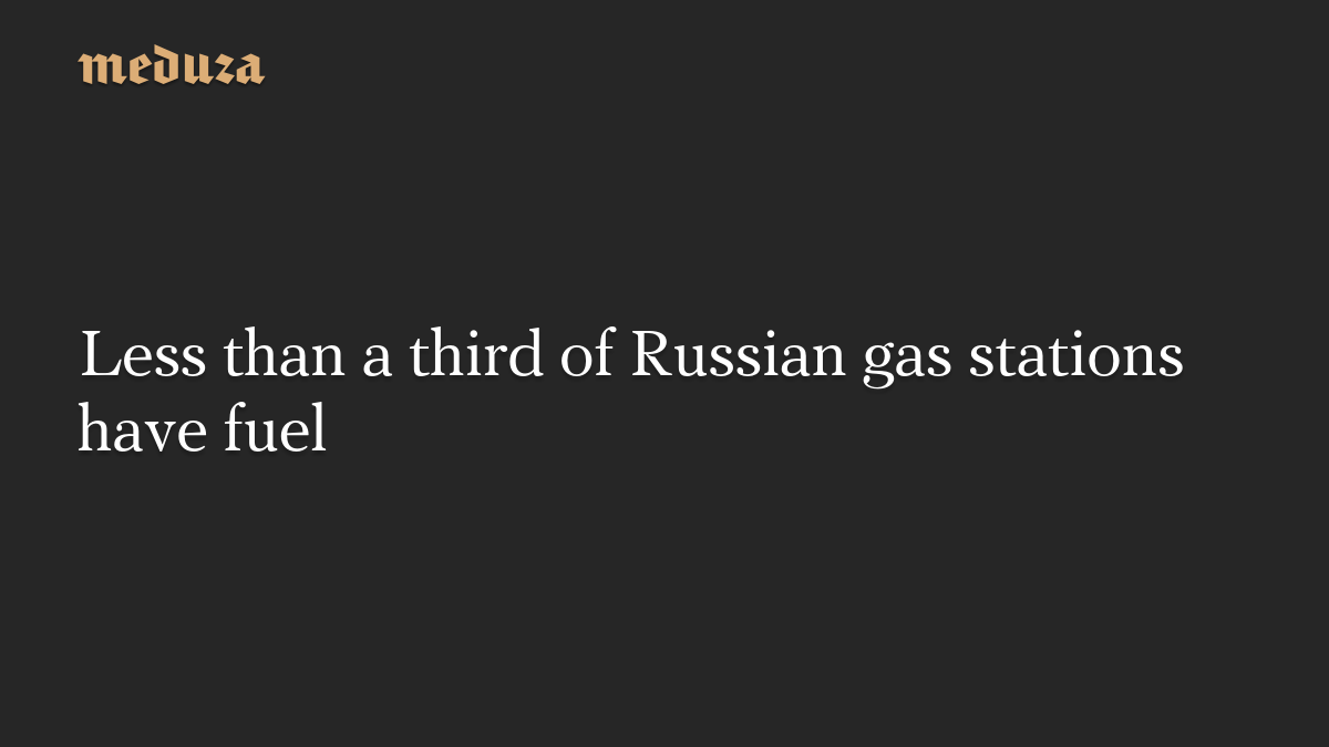 Less than a third of Russian gas stations have fuel