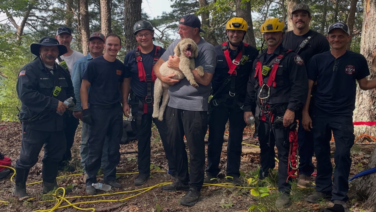 Dog rescued from Tennessee cliff after being stranded for 17 hours