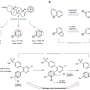 Moving nitrogen within pyridine opens a new path for molecular editing