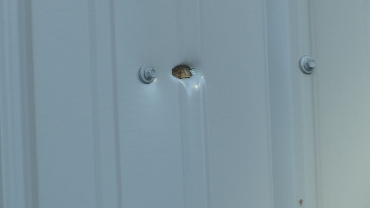 Police investigating drive-by shooting in Newton