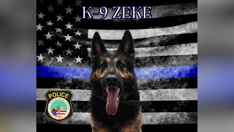 Middleburg Heights police K-9 Zeke passes away