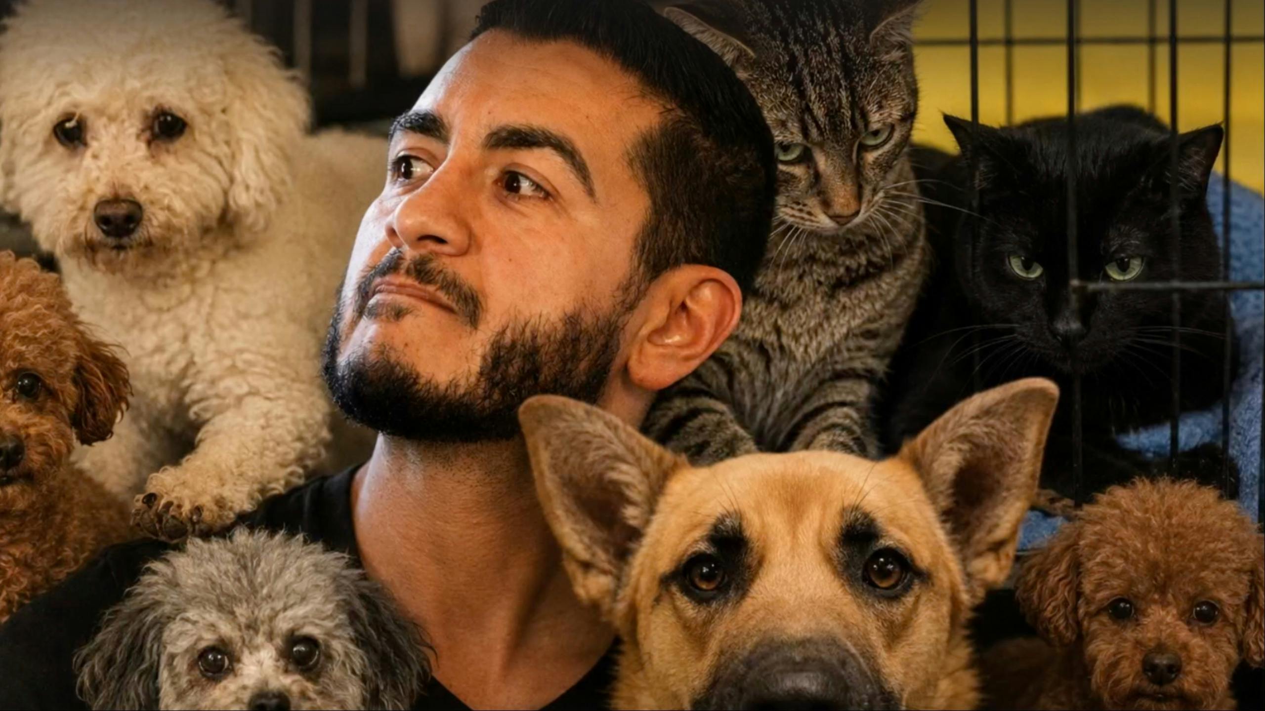 Abdul El-Sayed Took Over A Dog ‘Slaughterhouse.’ He Admits He’s Not An ‘Animal Guy.’