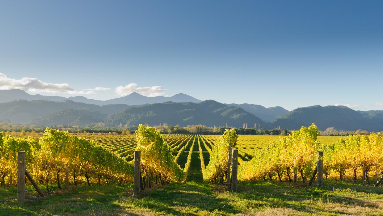 Horticulture company, former director ordered to pay more than $400k over migrant exploitation