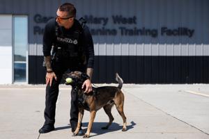 Omaha police dog Kano is back to chasing balls after nearly dying in North Omaha standoff