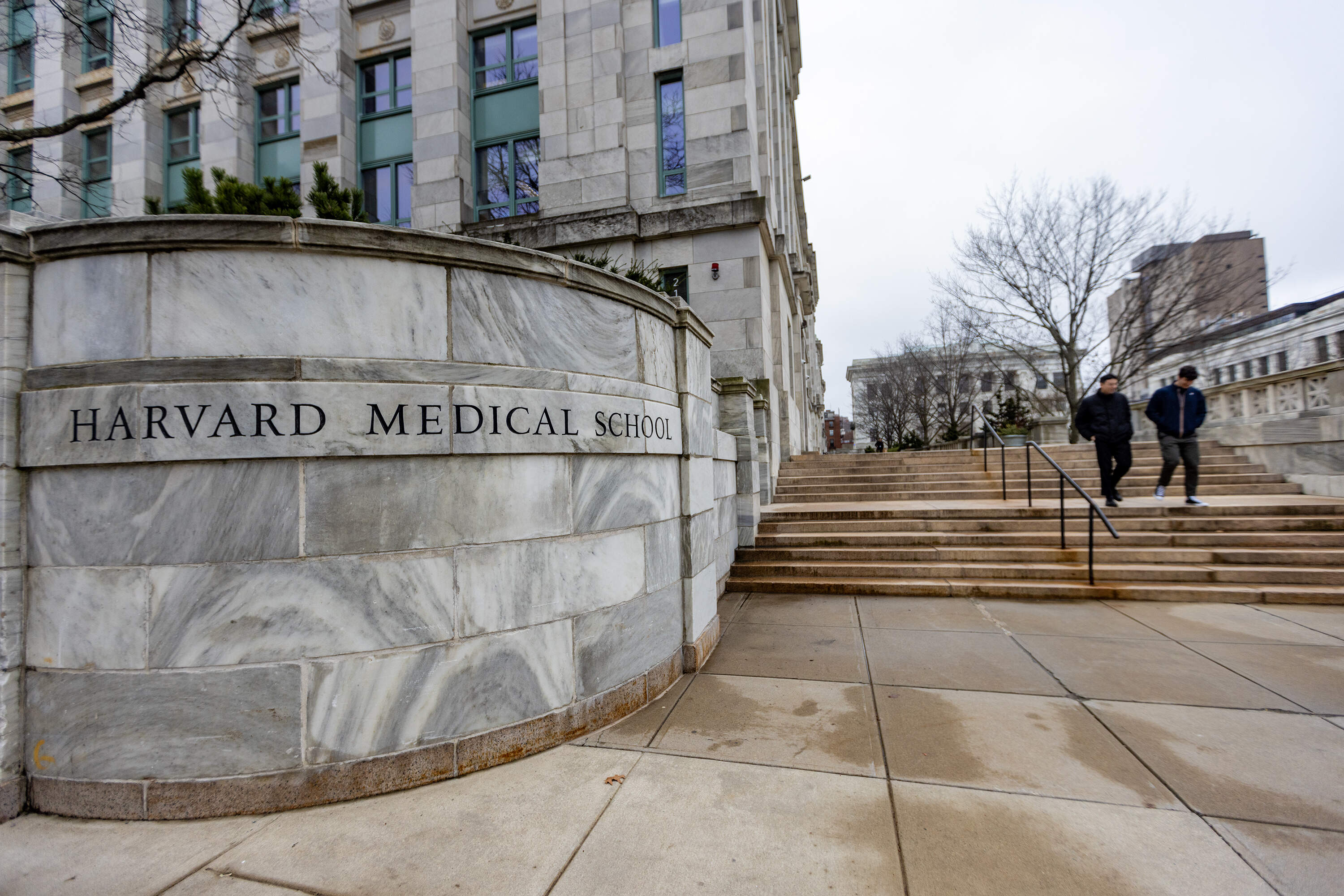 Harvard agrees to pay $53 million in settlement over body parts stolen from medical school morgue