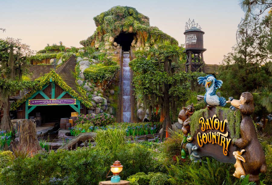 Disneyland signs warn that standing on log flume ride will lead to park ejection