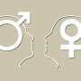 Biological sex is neither binary nor a spectrum—a biologist explains how it's multidimensional