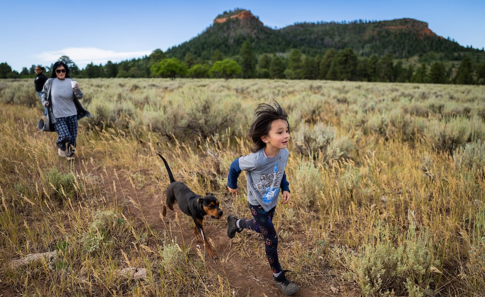 Poll: Utahns oppose monument cuts but support local control of public land
