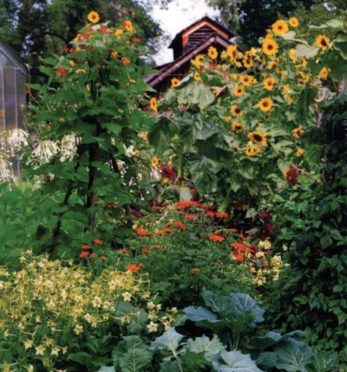 Garden Notes: Aug. 19, 2026