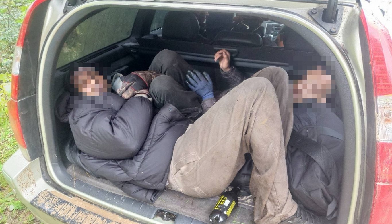 'Operation Werewolf' sniffs out more illegal border crossers